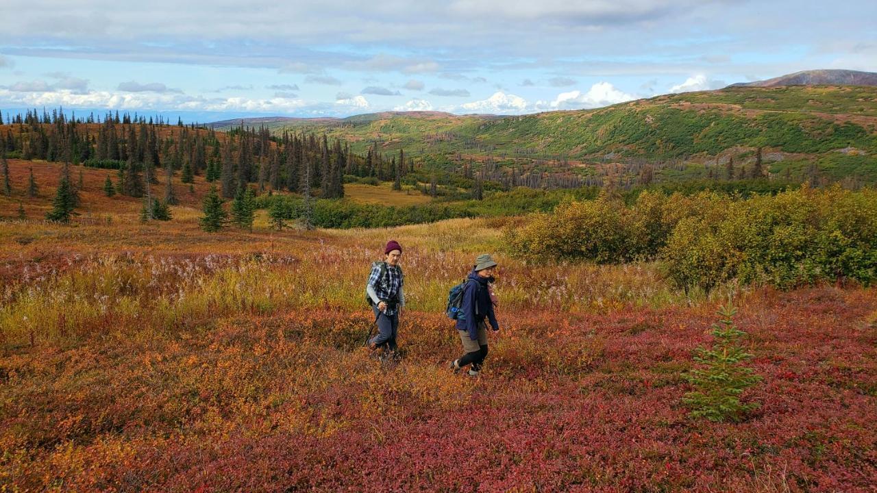 Caribou Lodge Alaska Talkeetna Extérieur photo