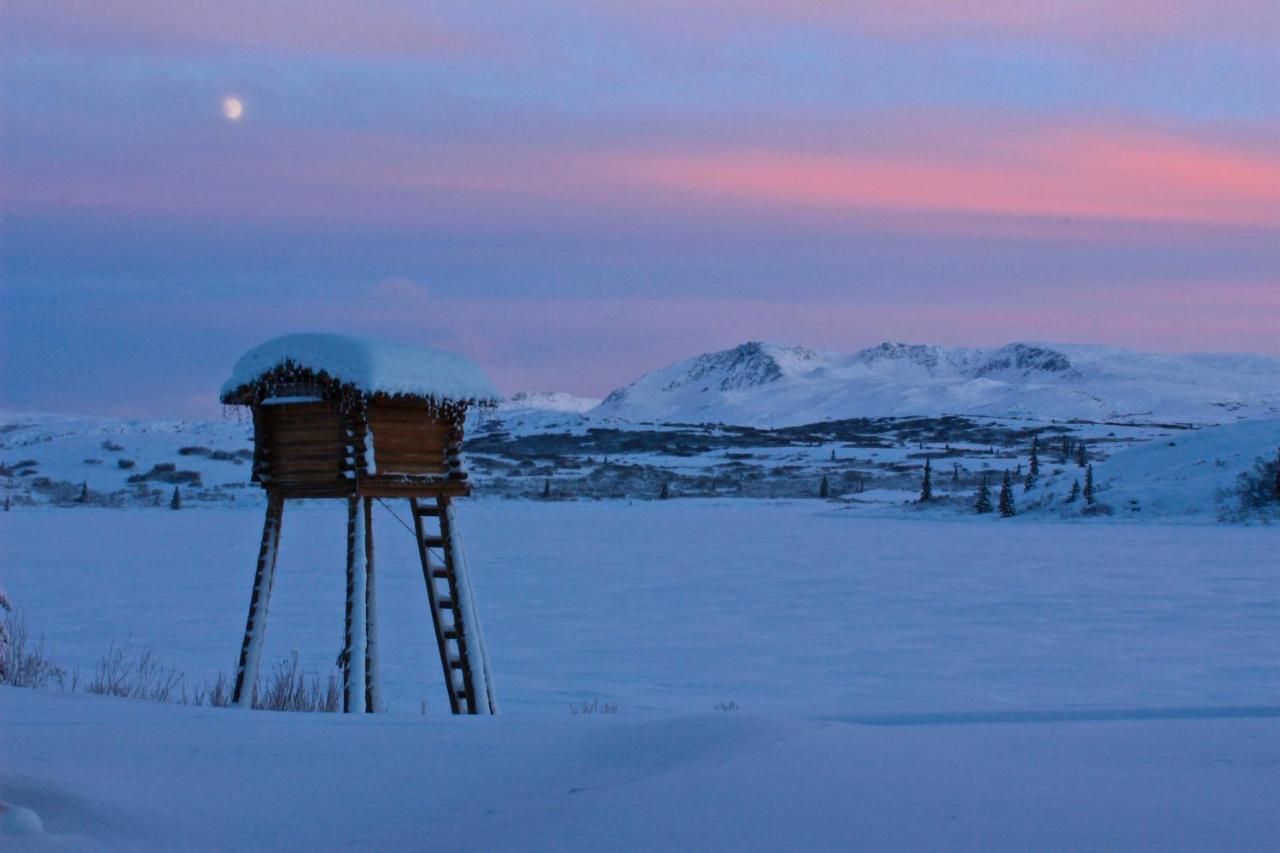 Caribou Lodge Alaska Talkeetna Extérieur photo
