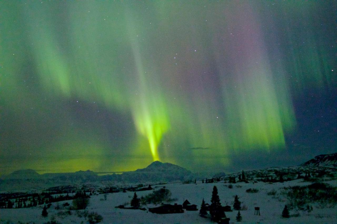Caribou Lodge Alaska Talkeetna Extérieur photo