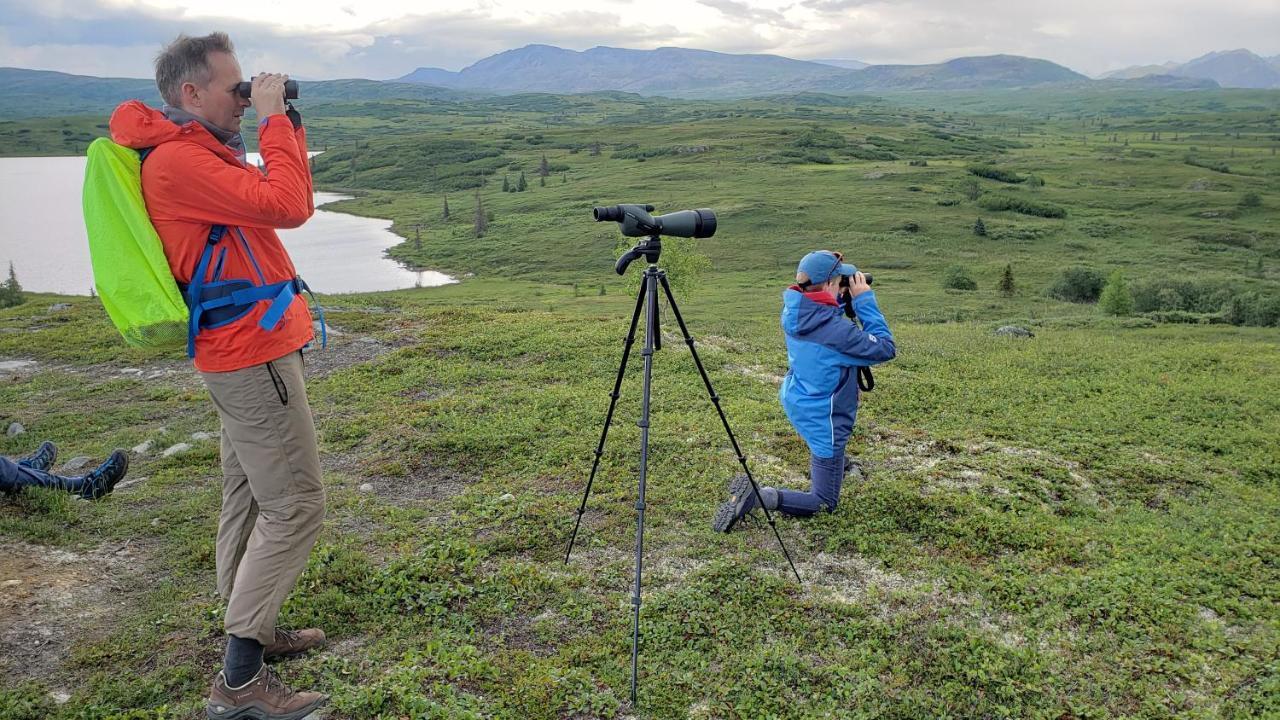 Caribou Lodge Alaska Talkeetna Extérieur photo