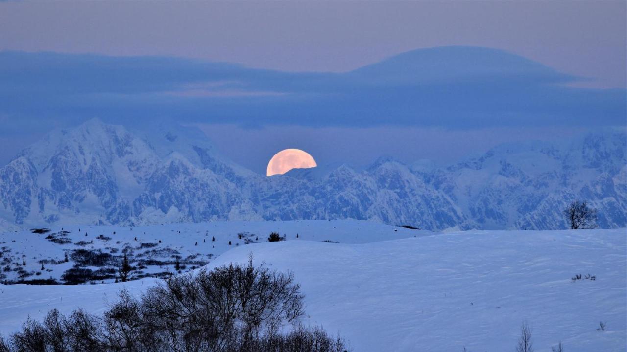 Caribou Lodge Alaska Talkeetna Extérieur photo