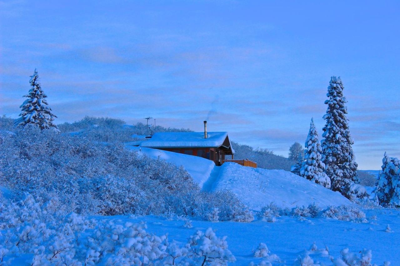 Caribou Lodge Alaska Talkeetna Extérieur photo